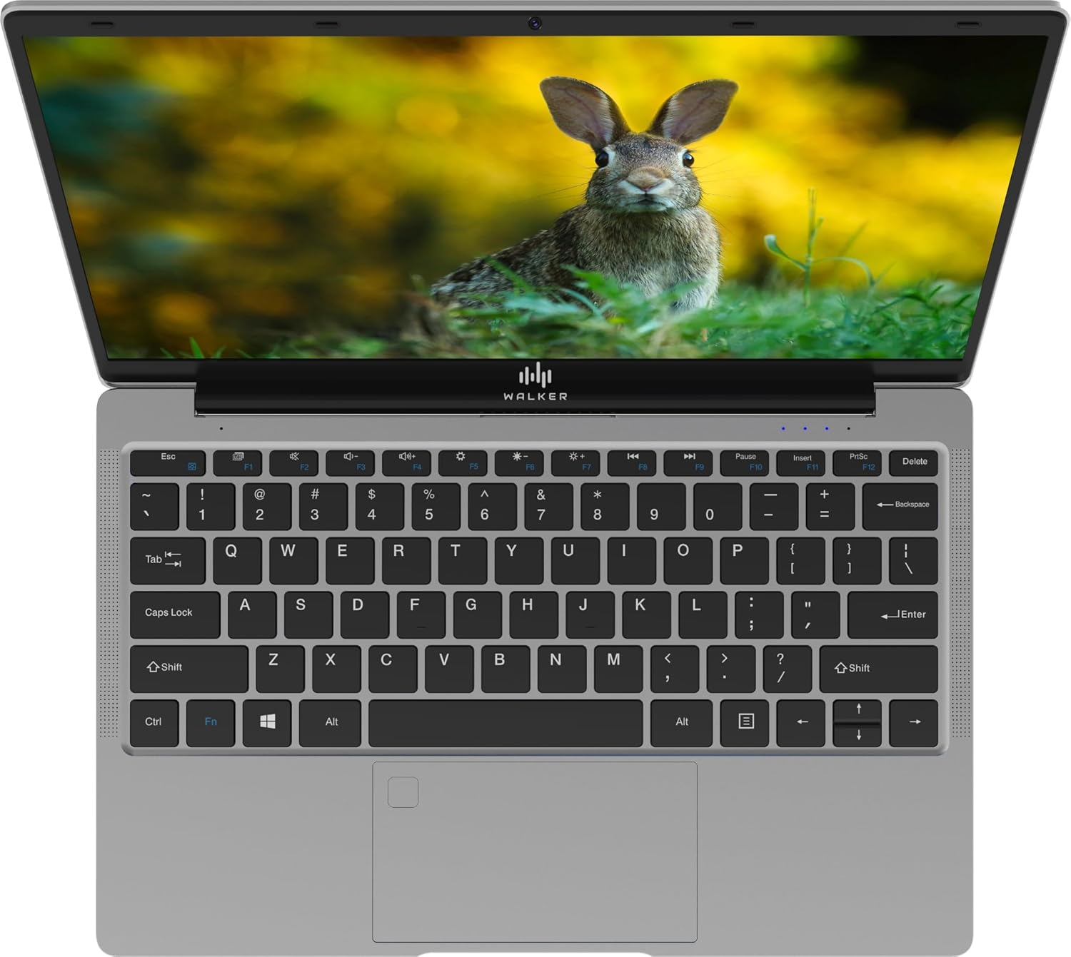 Walker-Leptop - Image 9